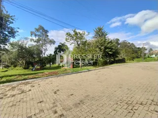Vista externa de uma rua com gramado e árvores em Lajeado.