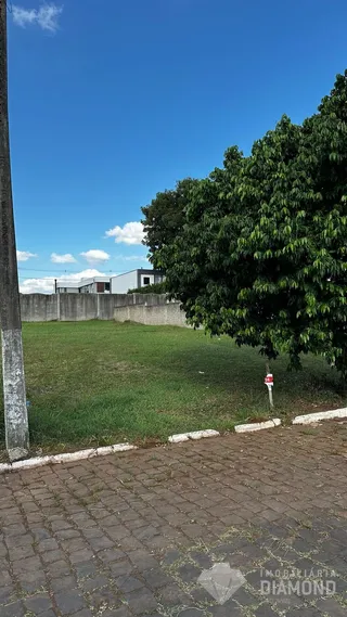 Terreno, foto 6