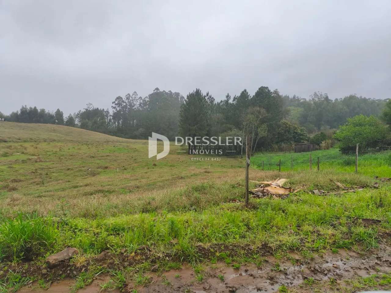 Terreno, foto 1
