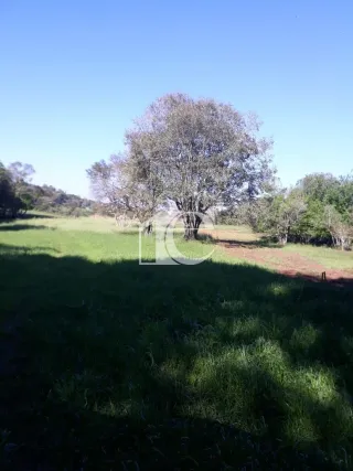Área rural, foto 10