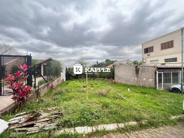 Vista externa de um terreno com grama e vegetação.