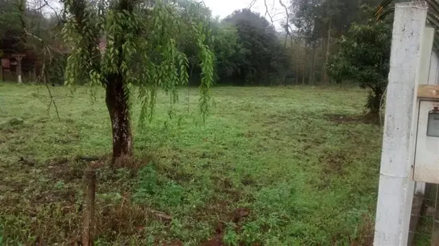 Terreno, foto 2