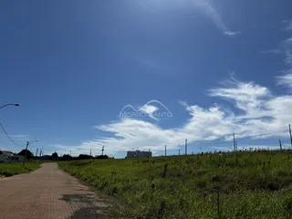Vista de um campo aberto com vegetação sob um céu azul claro.