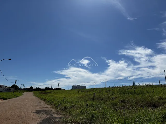 Vista de um campo aberto com vegetação sob um céu azul claro.