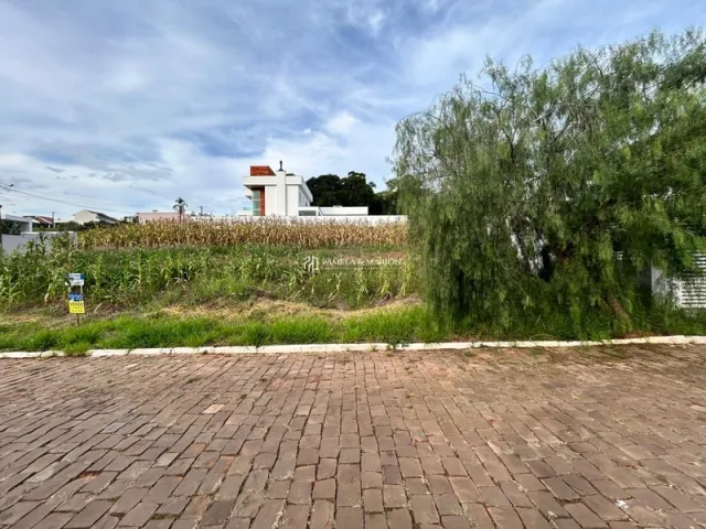 Terreno