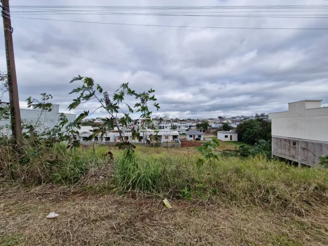 Terreno, foto 3