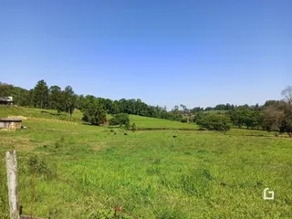 Paisagem de campo verde com árvores ao fundo.