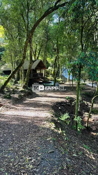 Uma foto de um caminho de terra atravessando uma área arborizada.