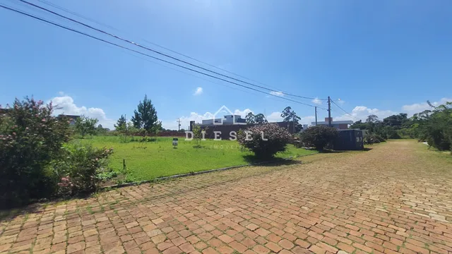Terreno, foto 2