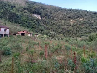 Área rural, foto 7
