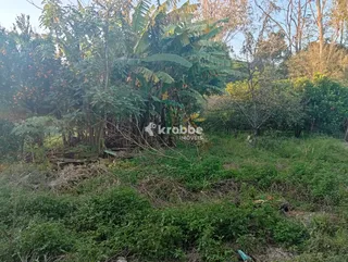 Casa com 2 dormitórios, foto 8