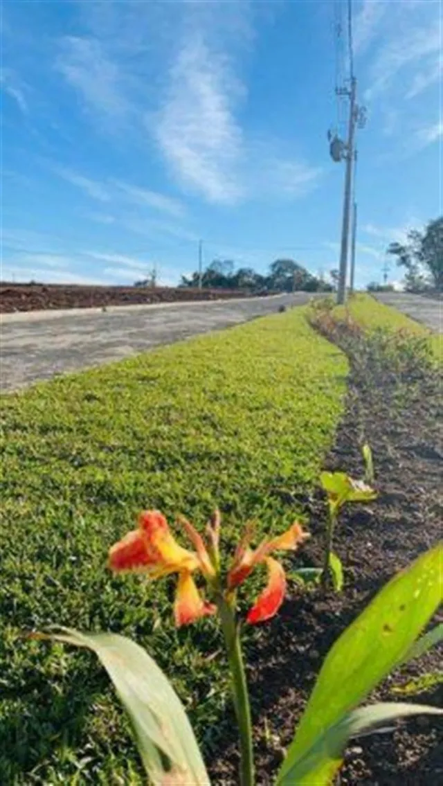 Terreno, foto 5