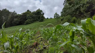 Área rural, foto 11