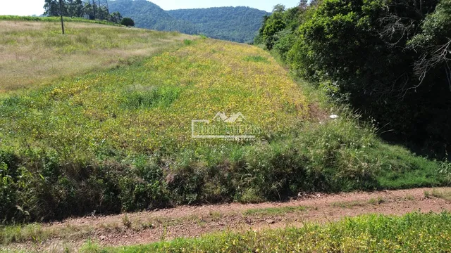 Área rural, foto 5