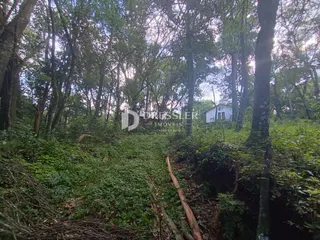 Área rural, foto 19
