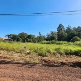 Uma paisagem de campo seco com vegetação alta e uma estrada de terra.