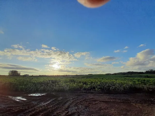 Área rural, foto 5