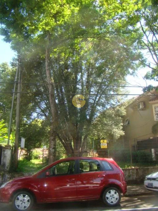 Terreno, foto 2