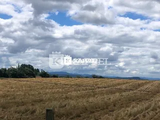 Paisagem de campo seco sob um céu nublado em Lajeado, Brasil.