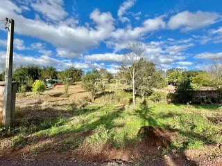 Paisagem de campo com vegetação e céu azul.