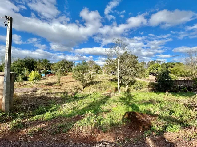 Paisagem de campo com vegetação e céu azul.