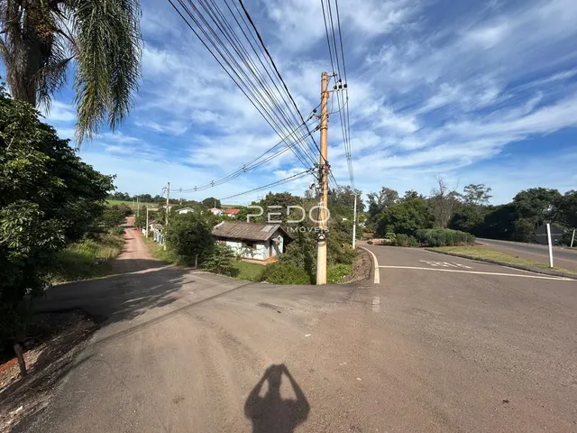 Vista de uma estrada rural com vegetação e postes de energia.