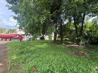 Vista externa mostrando grama verde e árvores em uma propriedade.