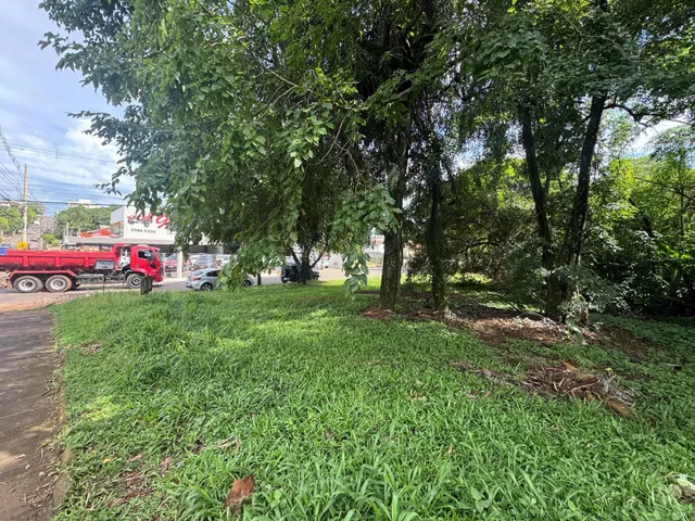Vista externa mostrando grama verde e árvores em uma propriedade.