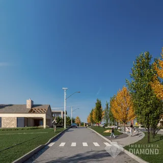 Terreno, foto 5