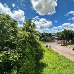 Vista externa de árvores verdes sob um céu azul com nuvens brancas.