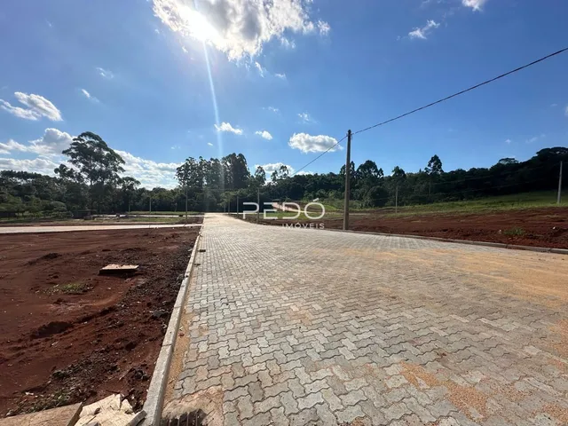 Terreno, foto 2