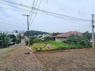 Vista externa de uma propriedade com estrada pavimentada e vegetação