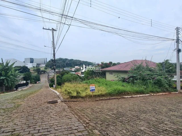 Vista externa de uma propriedade com estrada pavimentada e vegetação