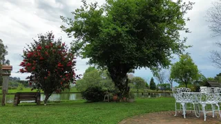 Área rural com 3 dormitórios, foto 6