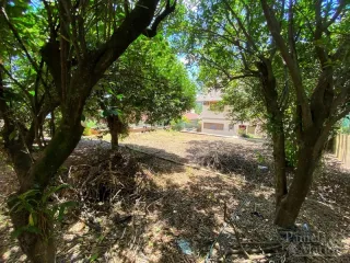Casa com 3 dormitórios, foto 22