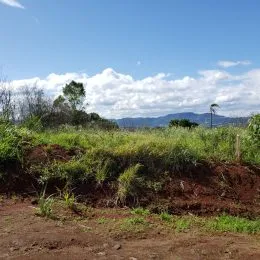 Terreno, foto 2
