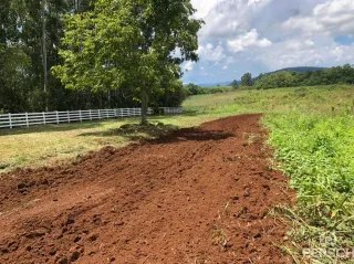 Uma trilha de terra atravessa uma área gramada com cerca branca ao fundo.