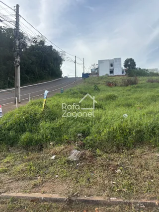 Terreno, foto 3