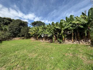 Terreno, foto 23