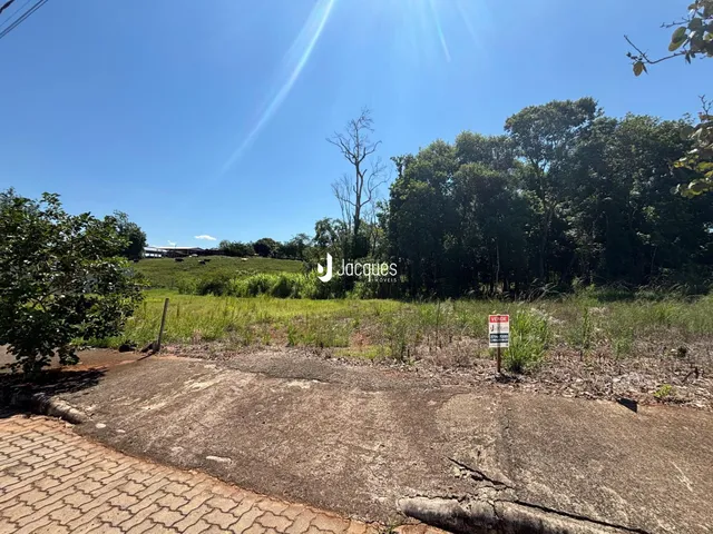 A foto mostra a paisagem exterior de uma propriedade com vegetação e uma estrada de terra.