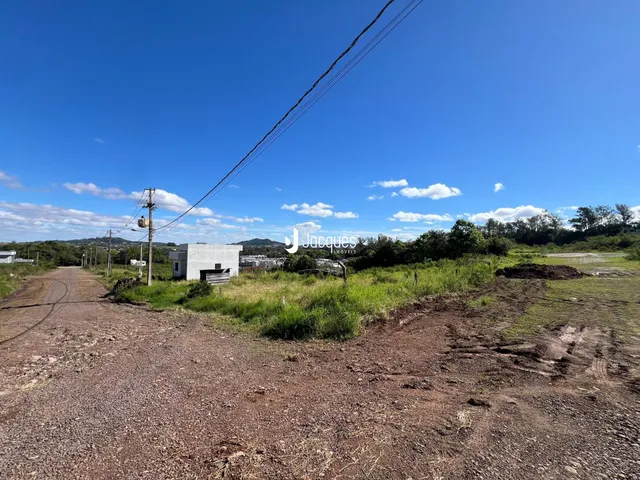 Vista aérea de uma área rural com vegetação e uma estrada de terra.