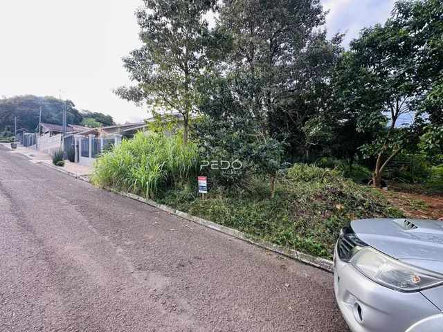 Vista da propriedade ao longo de uma estrada com vegetação densa.