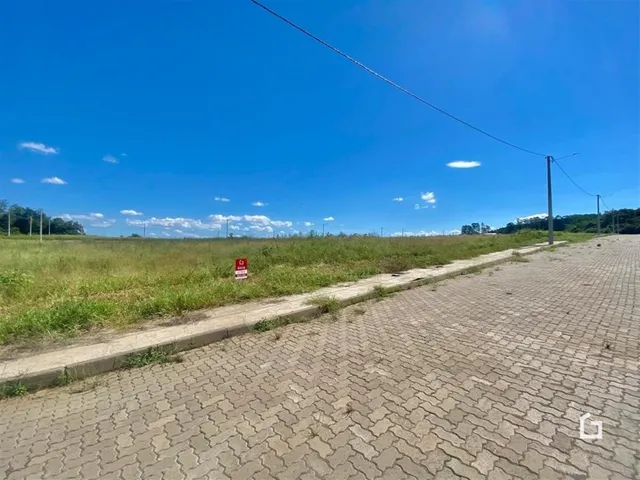 Vista de um campo aberto com grama e calçada de tijolos.