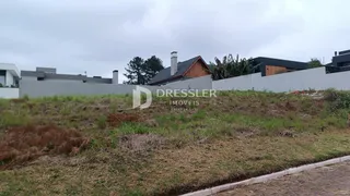 Terreno, foto 2