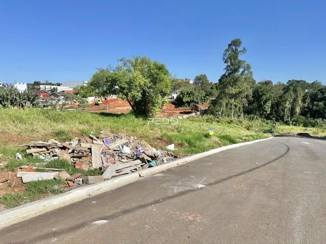 Vista de uma área de terreno com vegetação e entulho ao lado de uma estrada.