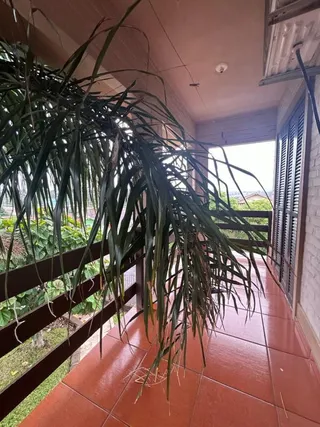 Casa com 3 dormitórios, foto 11