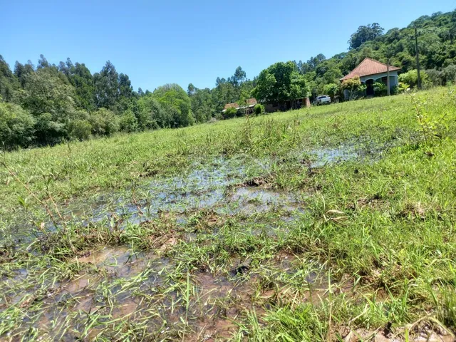 Vista de uma área de campo com vegetação densa e água em Lajeado.