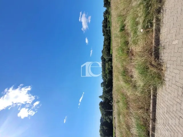 Terreno, foto 4