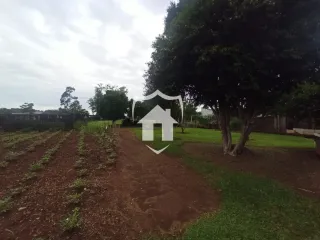 Casa com 3 dormitórios, foto 6