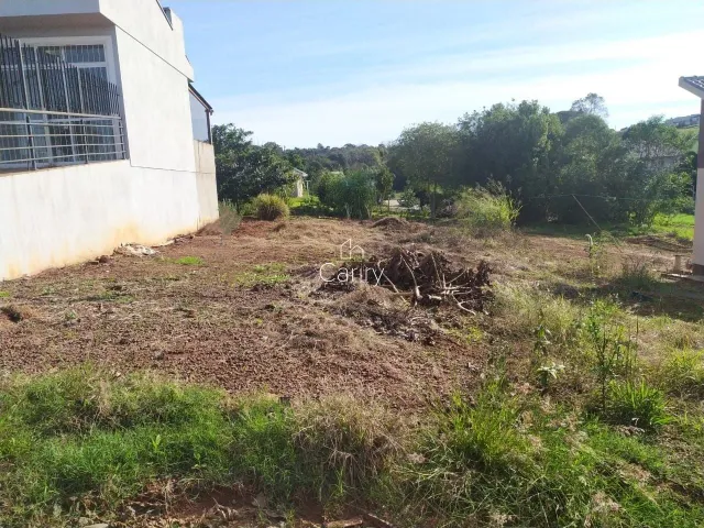 Terreno